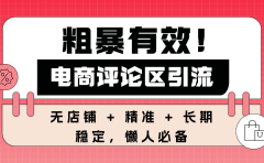 粗暴有效！电商评论区引流，无店铺 + 精准 + 长期，懒人必备