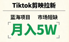 Tiktok剪映拉新，蓝海项目，市场短缺，月入5W+