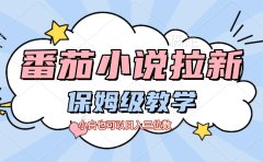 番茄小说拉新，保姆级教程，小白也可以日入三位数【下面那个简介错了】