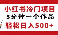 小红书冷门项目，但很赚钱，5分钟一个原创作品，轻松日入500+