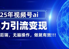 独家蓝海!视频号 AI 暴力引流,零后端 + 无脑操作,蓝海项目先做先赚!