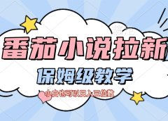 番茄小说拉新,保姆级教程,小白也可以日入三位数【下面那个简介错了】