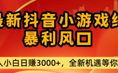 最新抖音小游戏纯暴利风口!小白单日稳赚3000+，全新机遇千万别错过