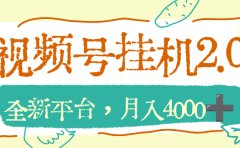 视频号挂机2.0玩儿法，全新平台，月入4000+