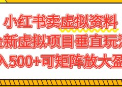 小红书卖虚拟资料500+，全新虚拟项目垂直玩法，可矩阵放大盈利！