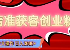 精准获客创业粉轻松变现，操作简单可放大，单日轻松3000+