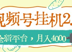 视频号挂机2.0玩儿法，全新平台，月入4000+