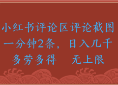 评论截图项目，小红书评论区评论截图一分钟2条，日入几千无上限-多劳多得