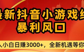 最新抖音小游戏纯暴利风口!小白单日稳赚3000+，全新机遇千万别错过