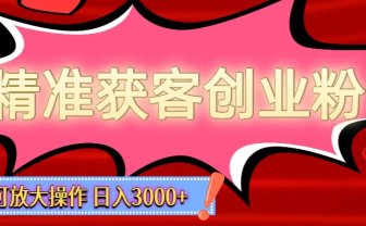 精准获客创业粉轻松变现，操作简单可放大，单日轻松3000+